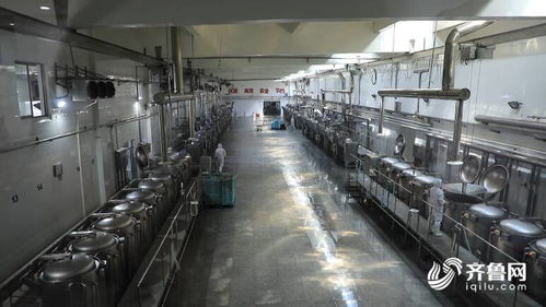 濰坊市坊子區食品安全產業聯盟 技術開發助力企業質效提升，定向解難題200多項