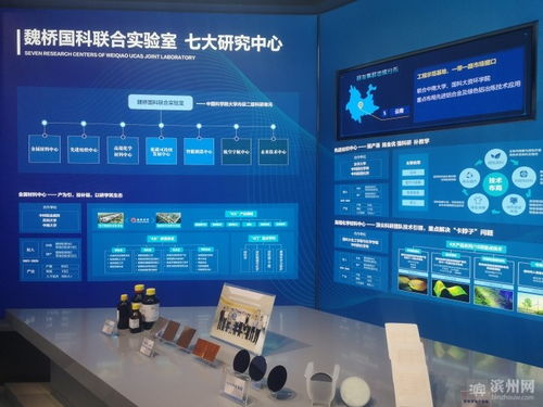 濱州理工大學(xué)籌建穩(wěn)步推進(jìn)，魏橋國(guó)科科技園迎來(lái)新進(jìn)展